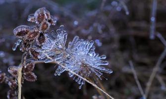 The difference between calcium chloride dihydrate and calcium chloride anhydrous