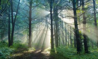 Explorando el Uso del Cloruro de Calcio en la Construcción: De la Estabilización del Suelo al Control del Polvo